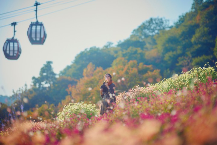 Autumn- のんびり、ぶらり、秋散歩（神戸布引ハーブ園／ロープウェイ）