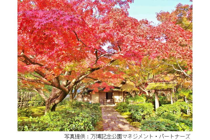 紅葉まつり（万博記念公園）