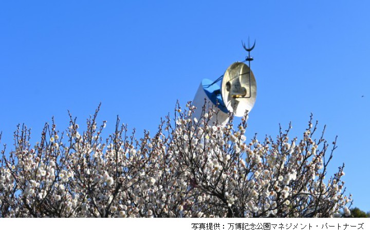 万博記念公園「梅まつり」