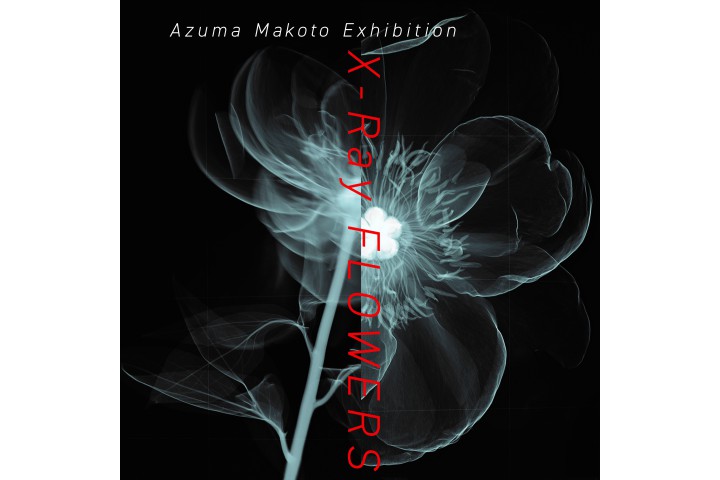 Azuma Makoto Exhibition X-Ray FLOWERS