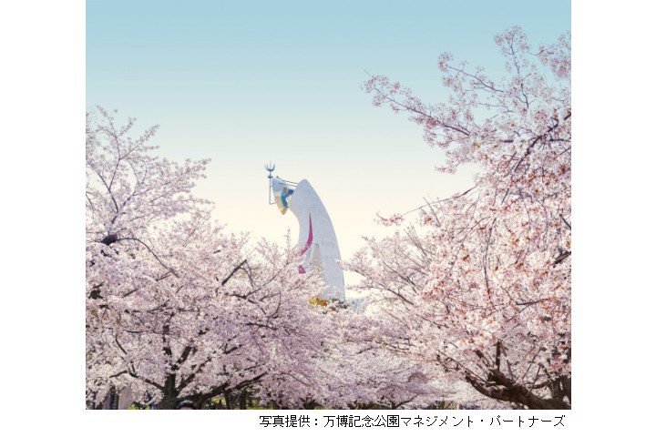 SAKURA EXPO 2025（万博記念公園）