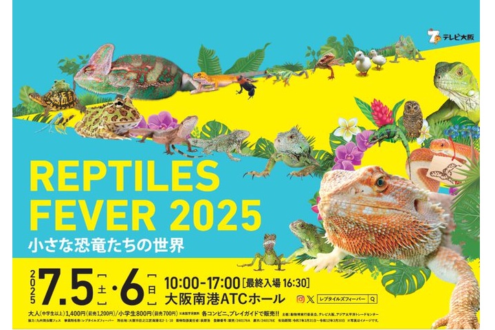 タイトルレプタイルズフィーバー 2025　～小さな恐竜たちの世界～