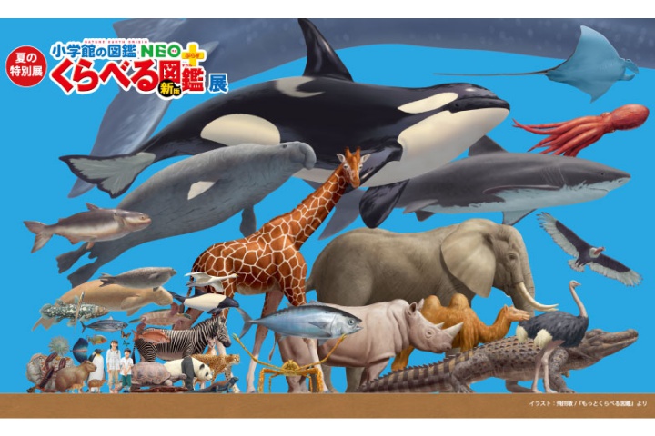 夏の特別展「くらべる図鑑展」（バンドー神戸青少年科学館）