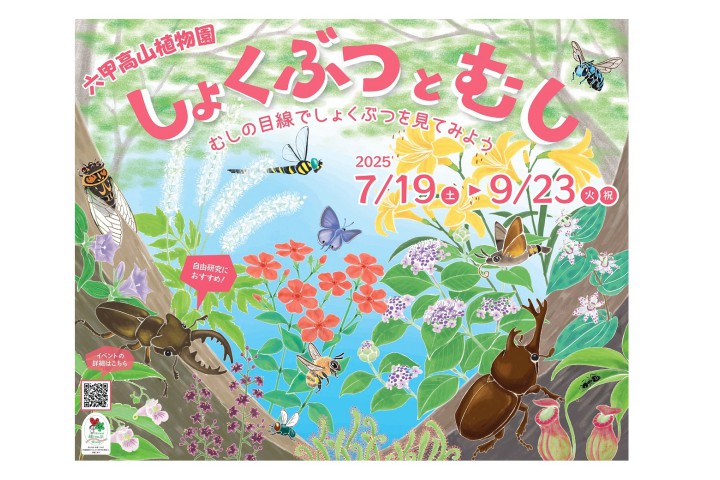 しょくぶつとむし（六甲高山植物園）