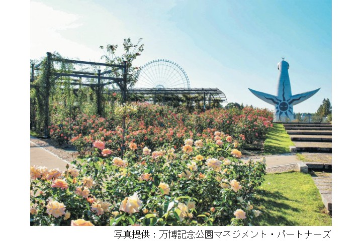 秋のローズフェスタ（万博記念公園）