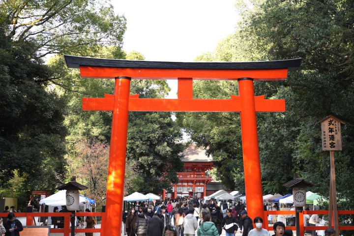 森の手づくり市～秋の特別編2025～（下鴨神社）