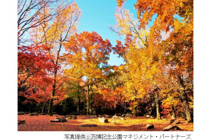 紅葉まつり（万博記念公園）