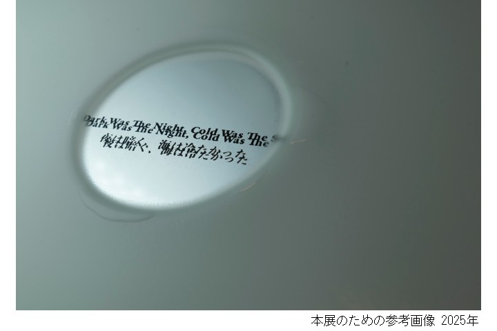 Osaka Directory 10 Supported by RICHARD MILLE 金 光男（大阪中之島美術館）