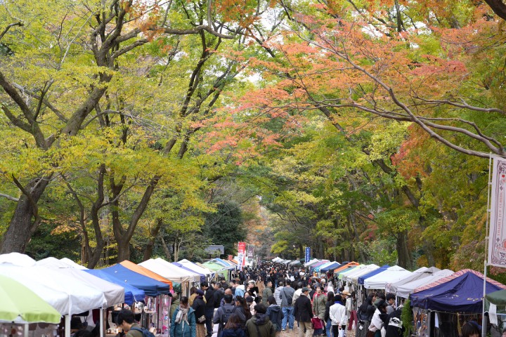 第52回 森の手づくり市～ものづくりforest～（下鴨神社 糺の森）