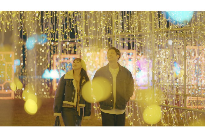 大阪城イルミナージュ（大阪城西の丸庭園）