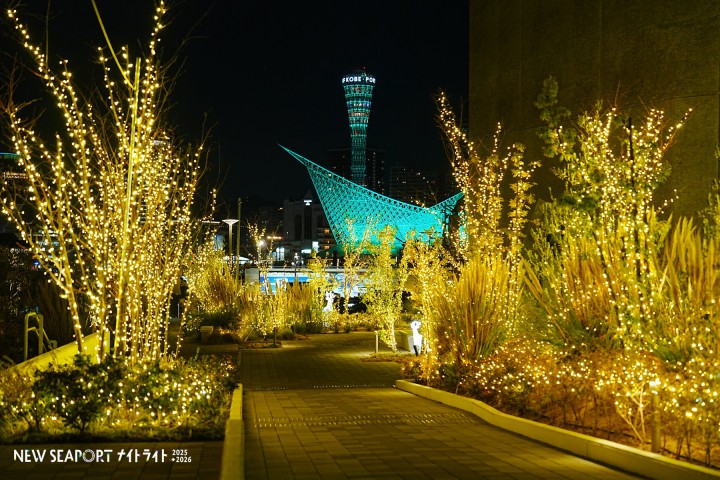 NEW SEAPORTナイトライト2025－2026