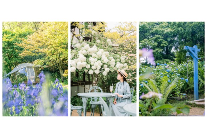 フェア「ハーモニー・オブ・ガーデン」（ROKKO森の音ミュージアム）