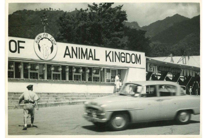 王子动物园开园75周年特别展 (神户市立王子动物园)